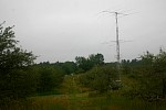 IMG_5716.jpg