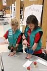 IMG_1741.jpg