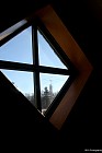 IMG_2321.jpg