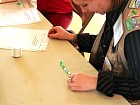 P1001799p.jpg